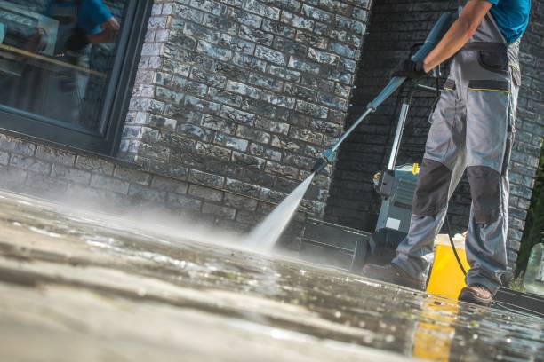 Best Roof Washing  in Onawa, IA